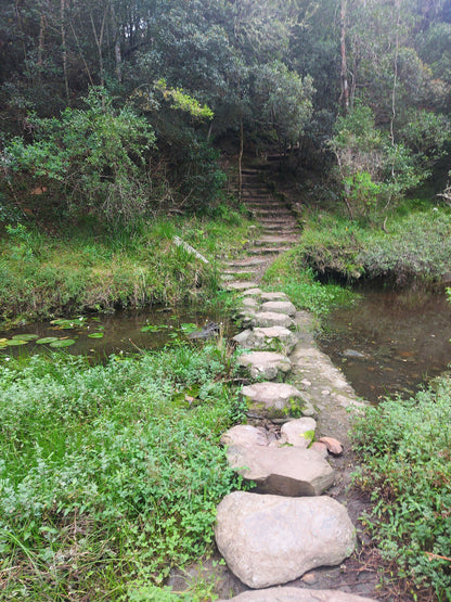  Brownhooded Kingfisher Trail