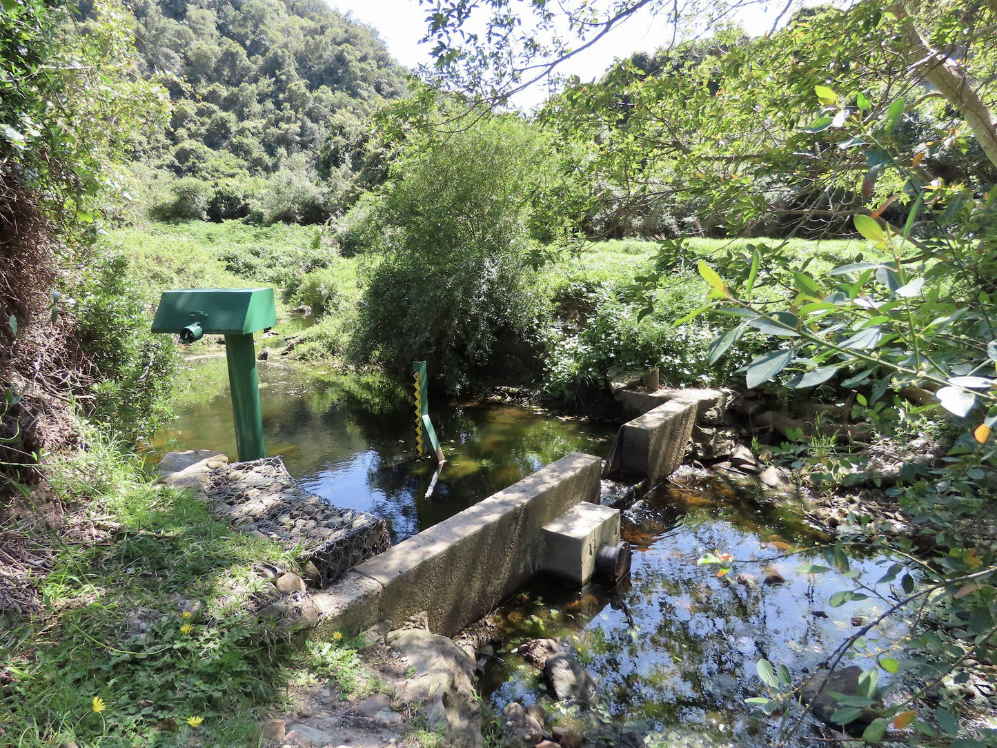  Brownhooded Kingfisher Trail