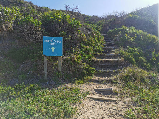 Buffalo Bay trail