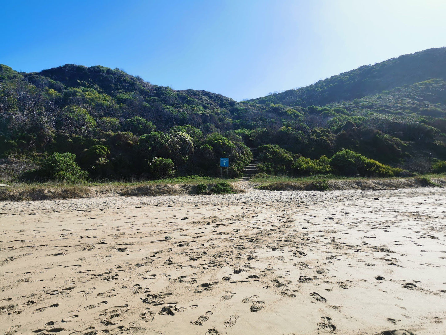 Buffalo Bay trail