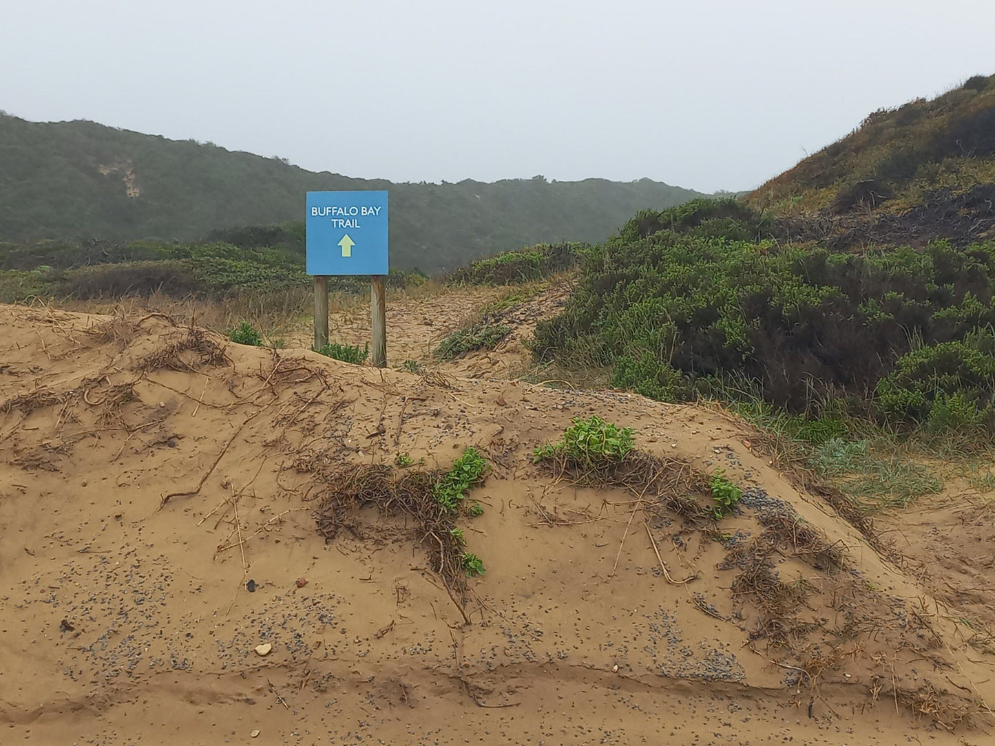 Buffalo Bay trail