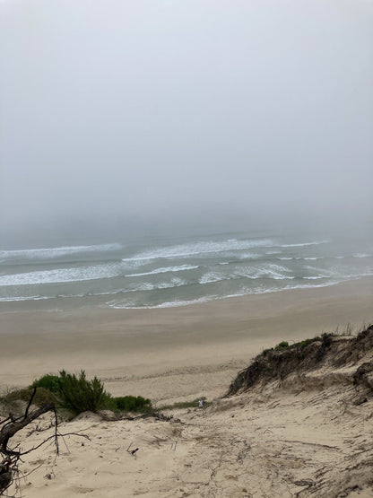 Buffalo Bay trail