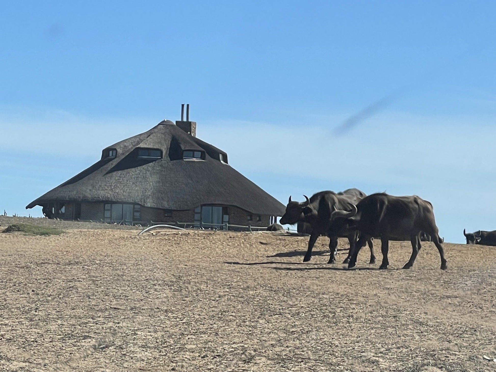  Buffelsfontein Game & Nature Reserve