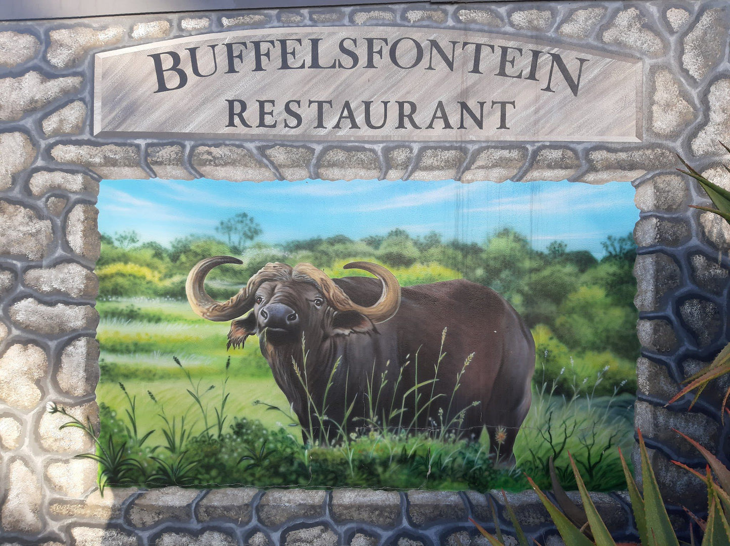  Buffelsfontein Game & Nature Reserve