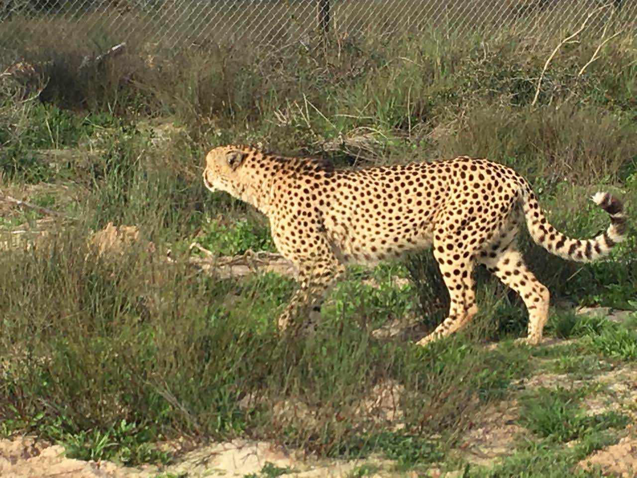  Buffelsfontein Game & Nature Reserve