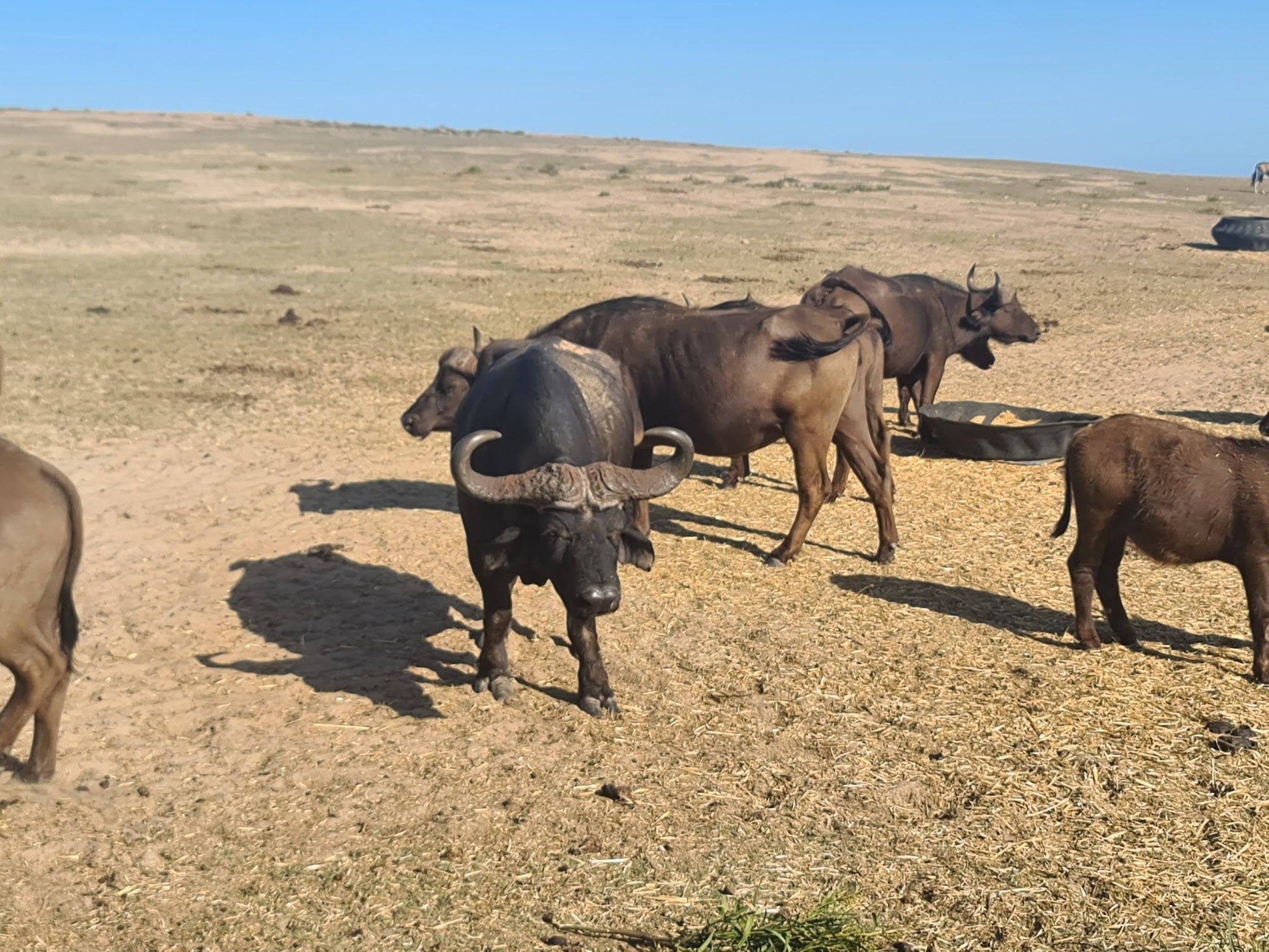  Buffelsfontein Game & Nature Reserve