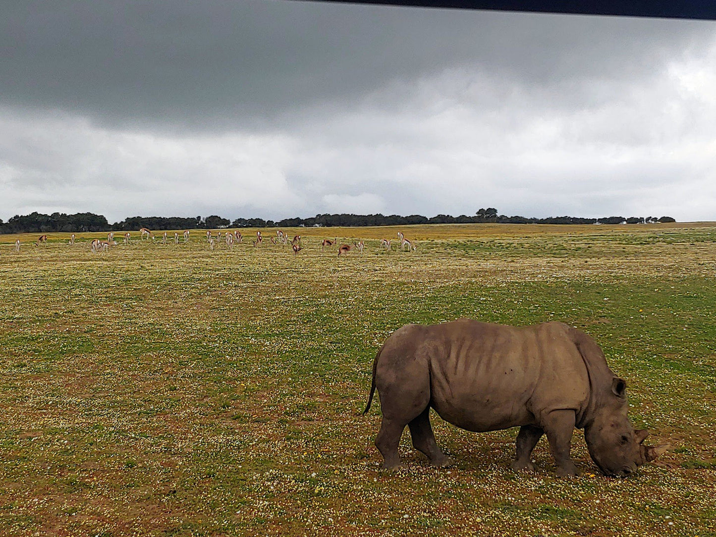  Buffelsfontein Game & Nature Reserve