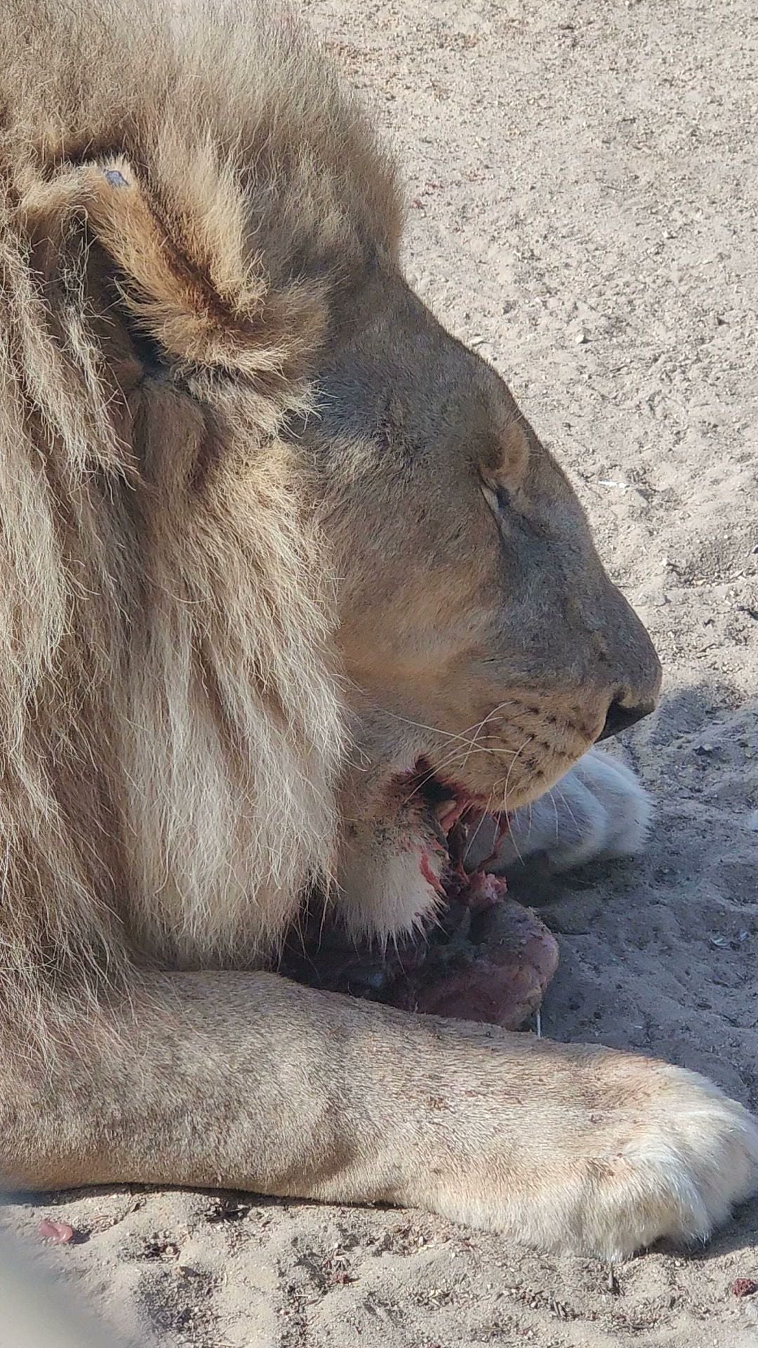  Buffelsfontein Game & Nature Reserve