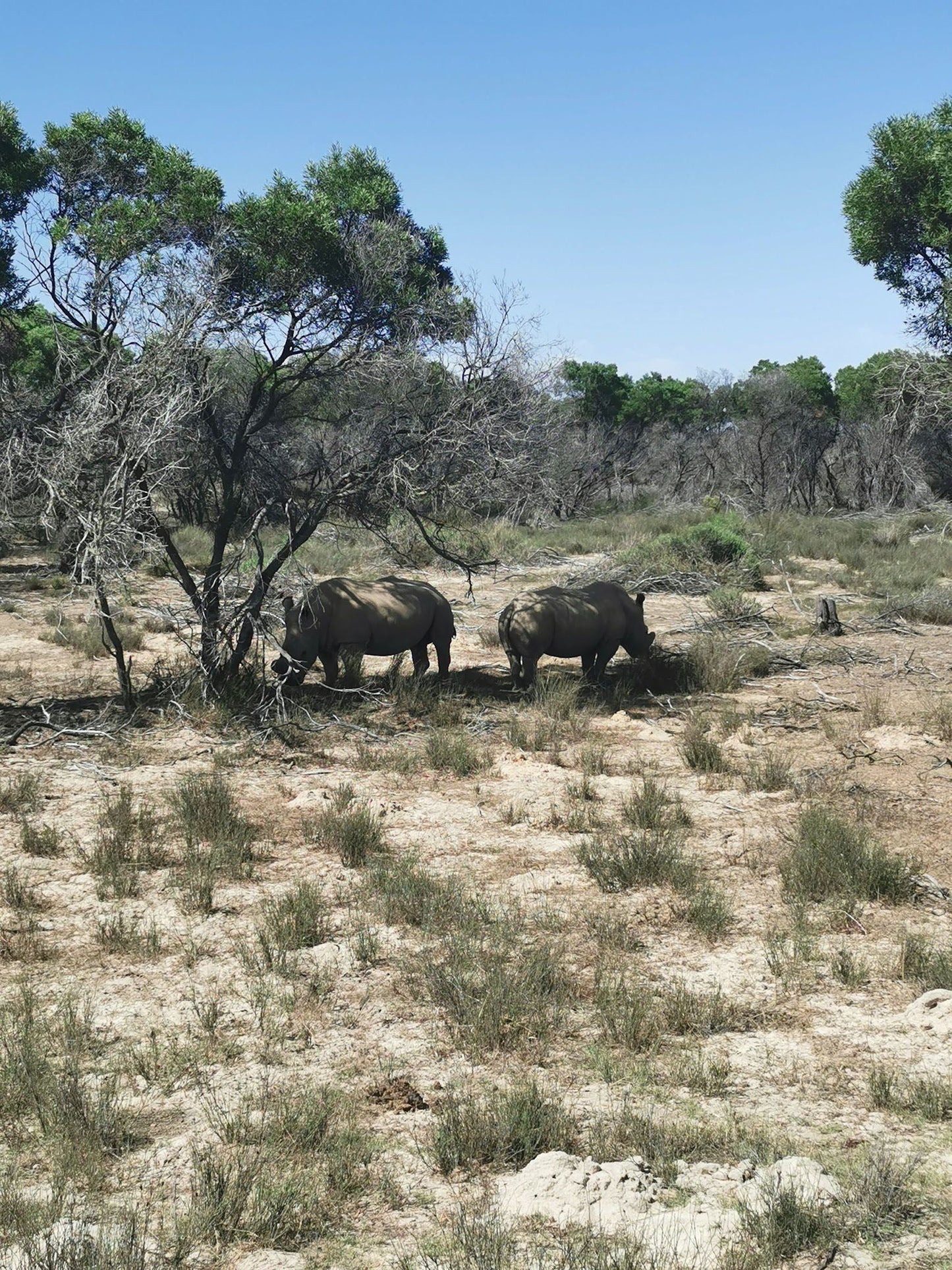  Buffelsfontein Game & Nature Reserve