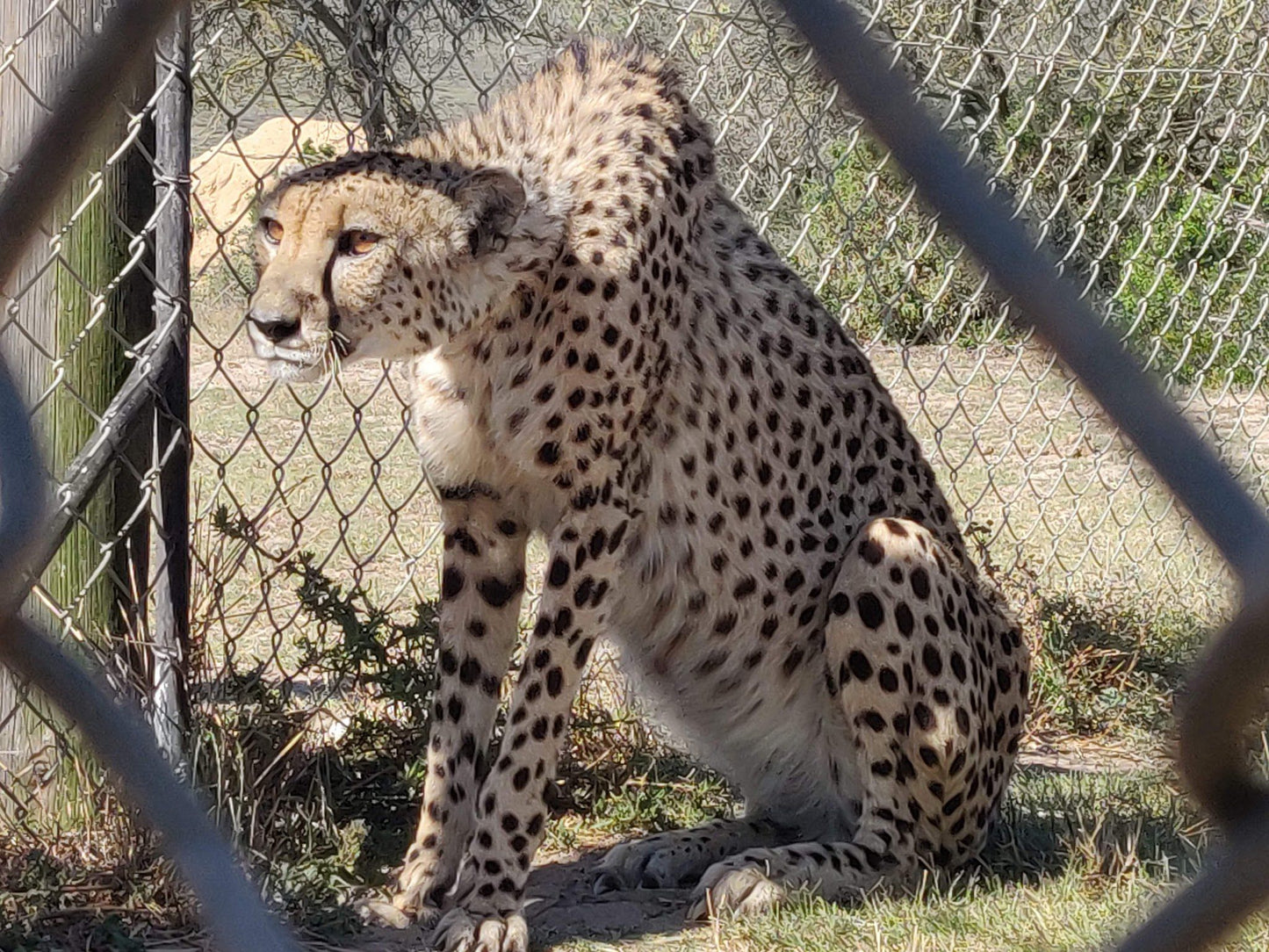  Buffelsfontein Game & Nature Reserve