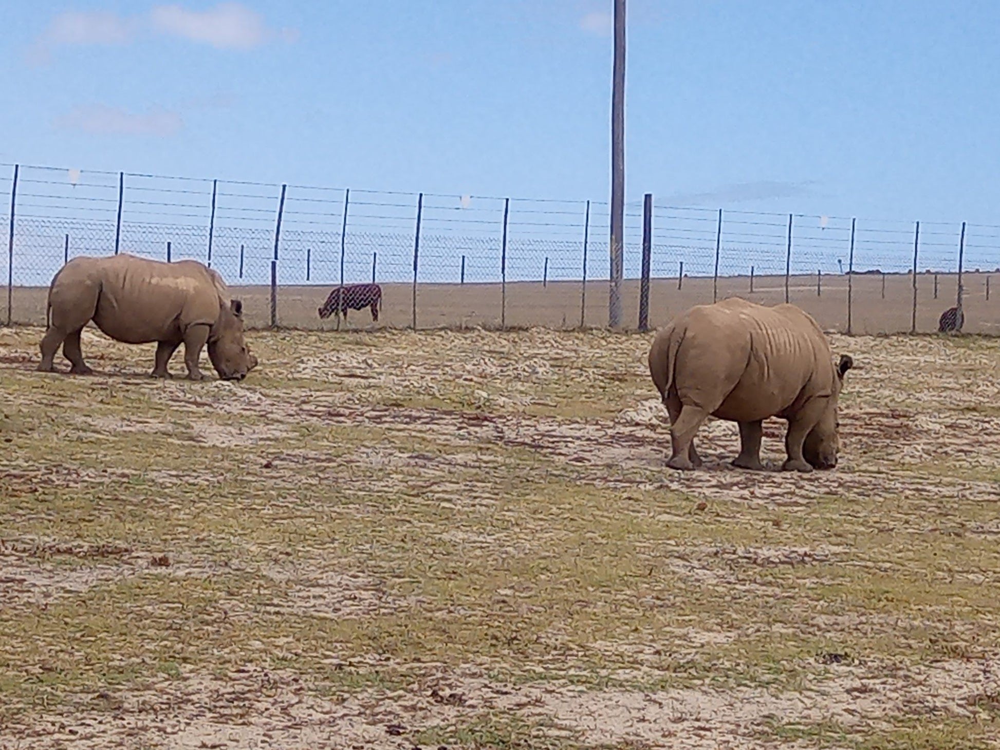  Buffelsfontein Game & Nature Reserve