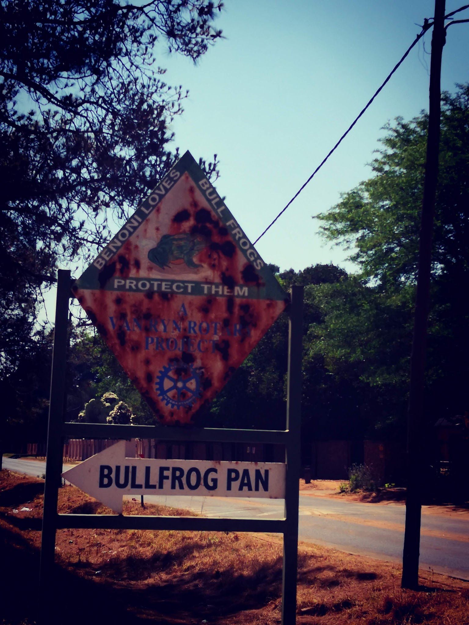  Bullfrog Pan