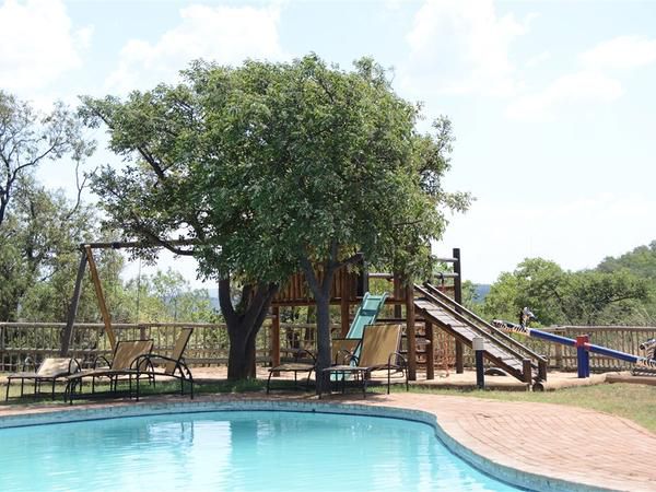 Bushtime At Mabula Mabula Private Game Reserve Limpopo Province South Africa Tree, Plant, Nature, Wood, Swimming Pool