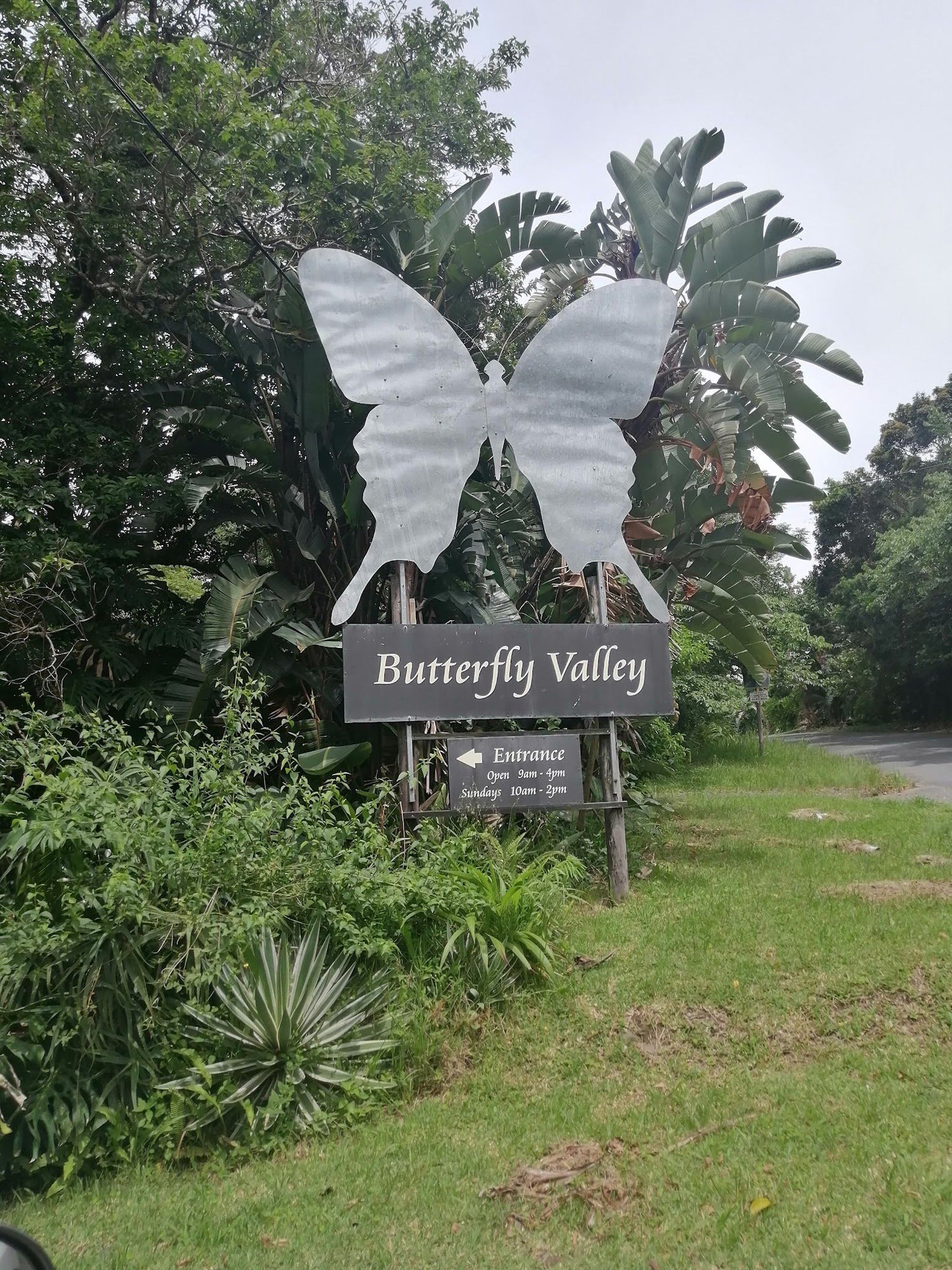  Butterfly Valley butterfly farm