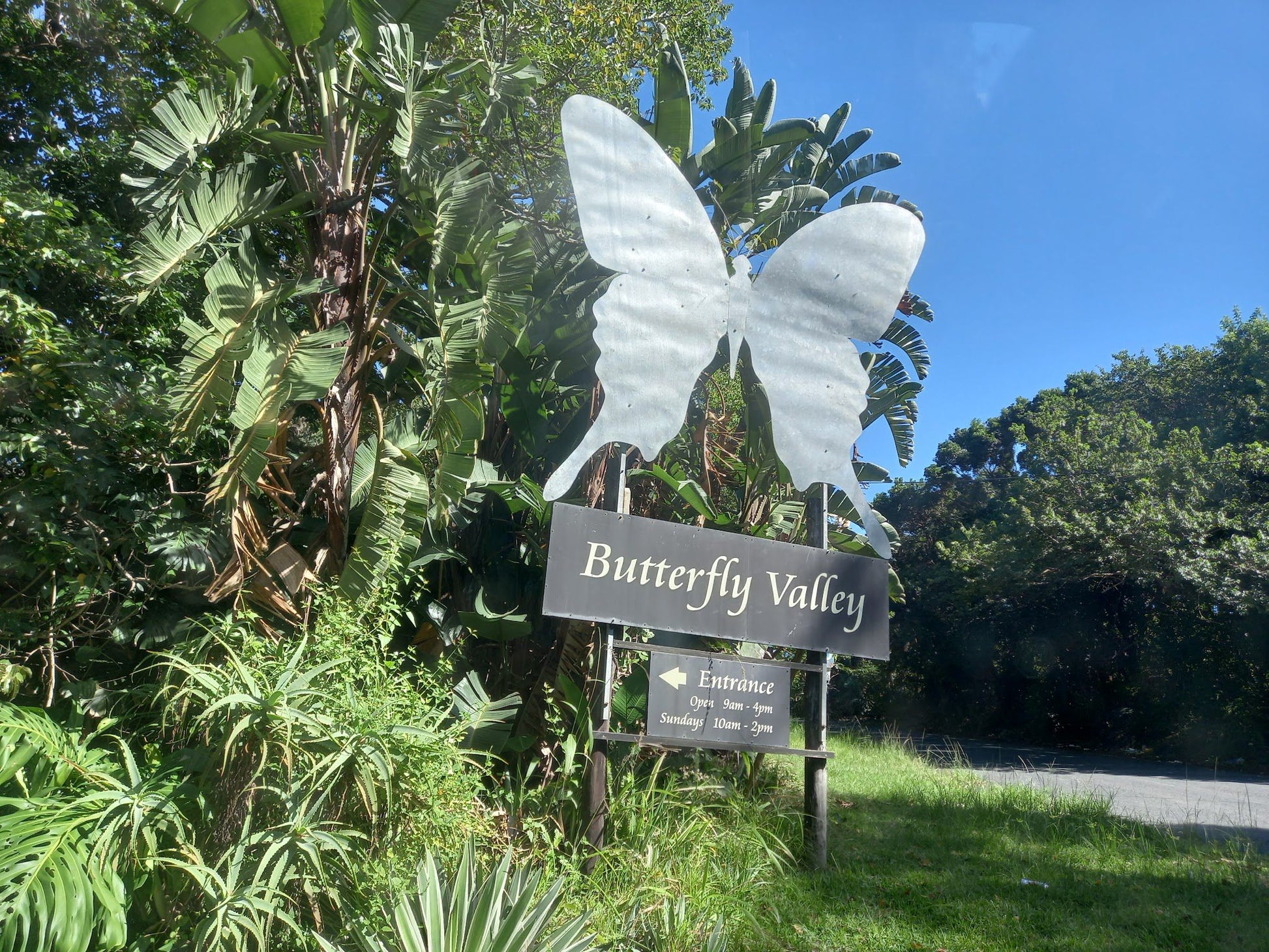  Butterfly Valley butterfly farm