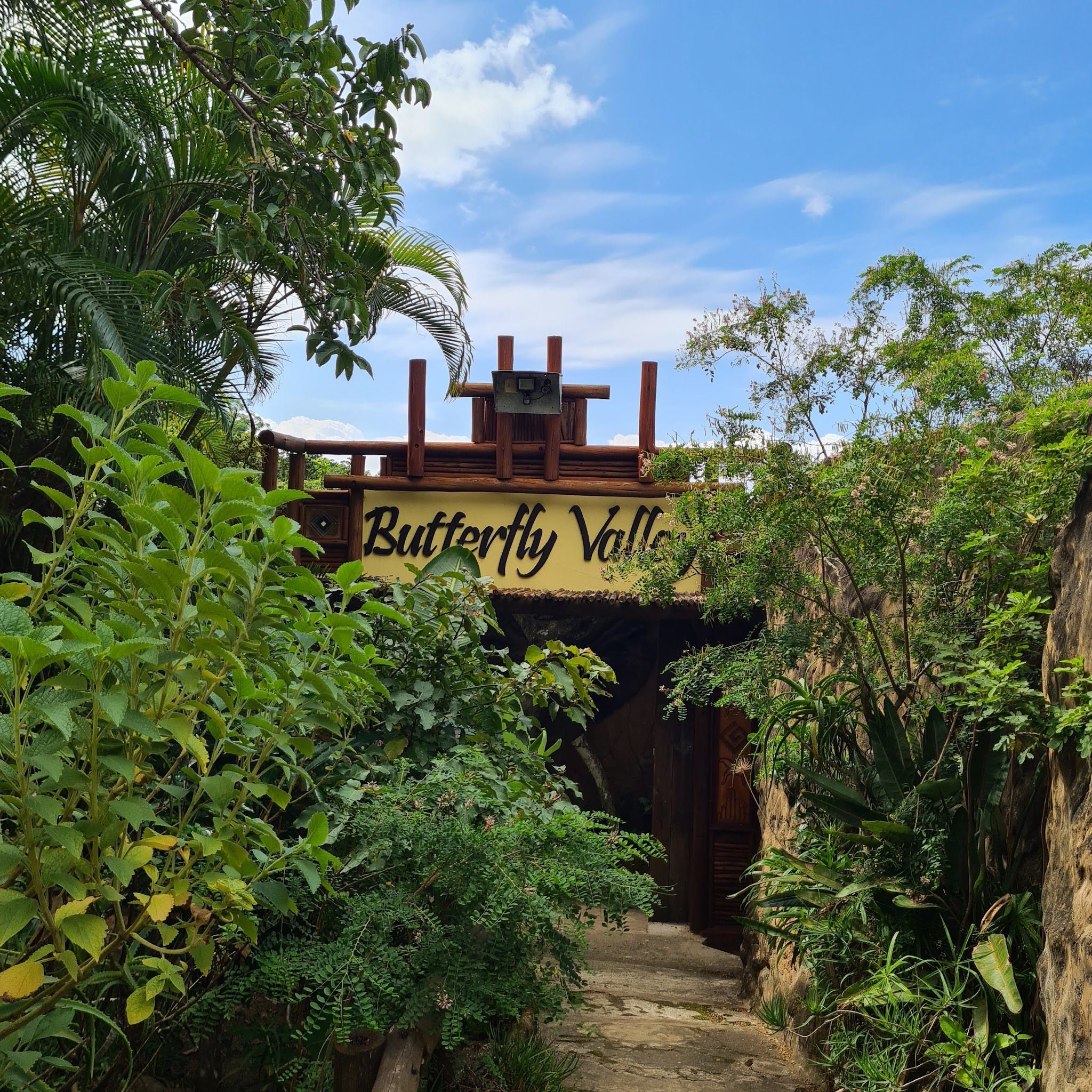  Butterfly Valley butterfly farm