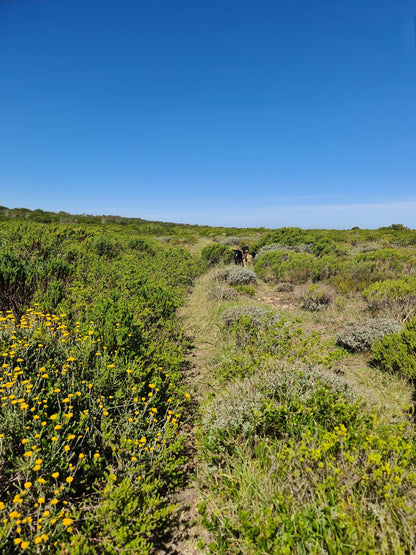 COASTAL FYNBOS TRAIL