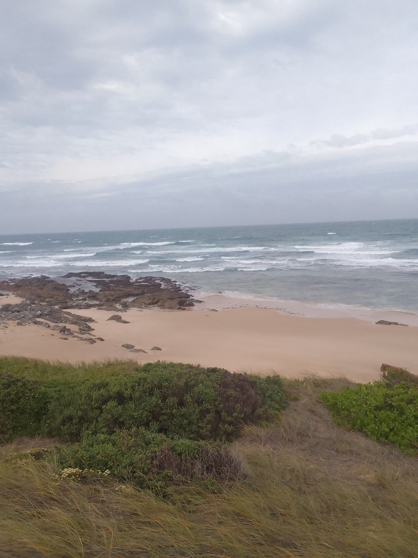 COASTAL FYNBOS TRAIL