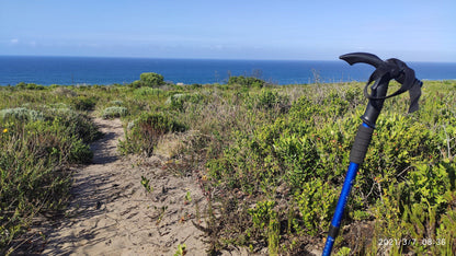 COASTAL FYNBOS TRAIL