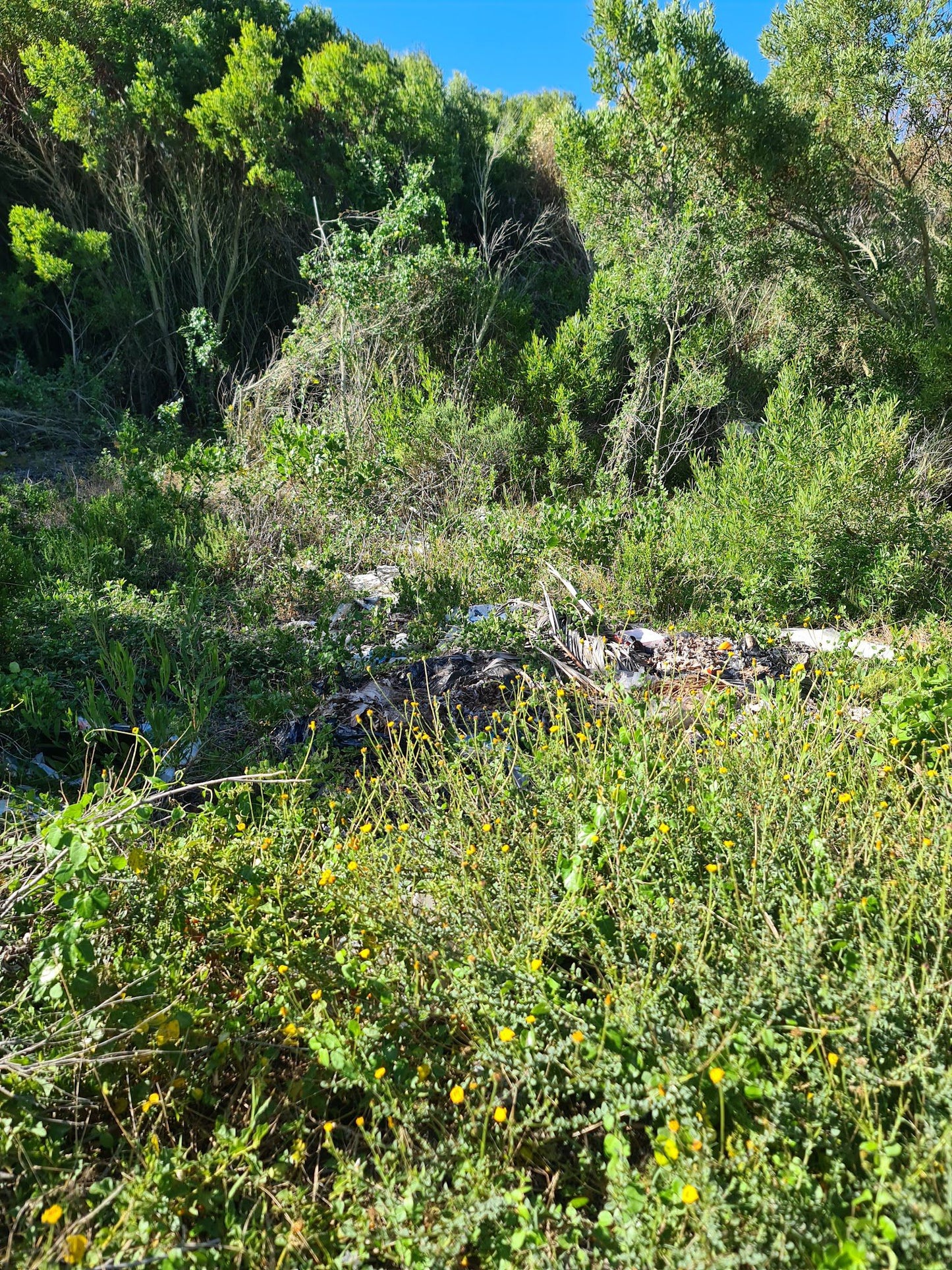 COASTAL FYNBOS TRAIL