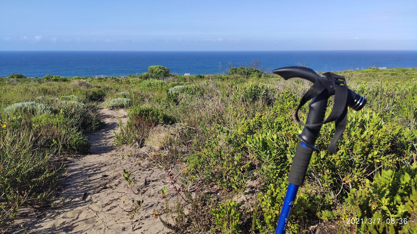 COASTAL FYNBOS TRAIL