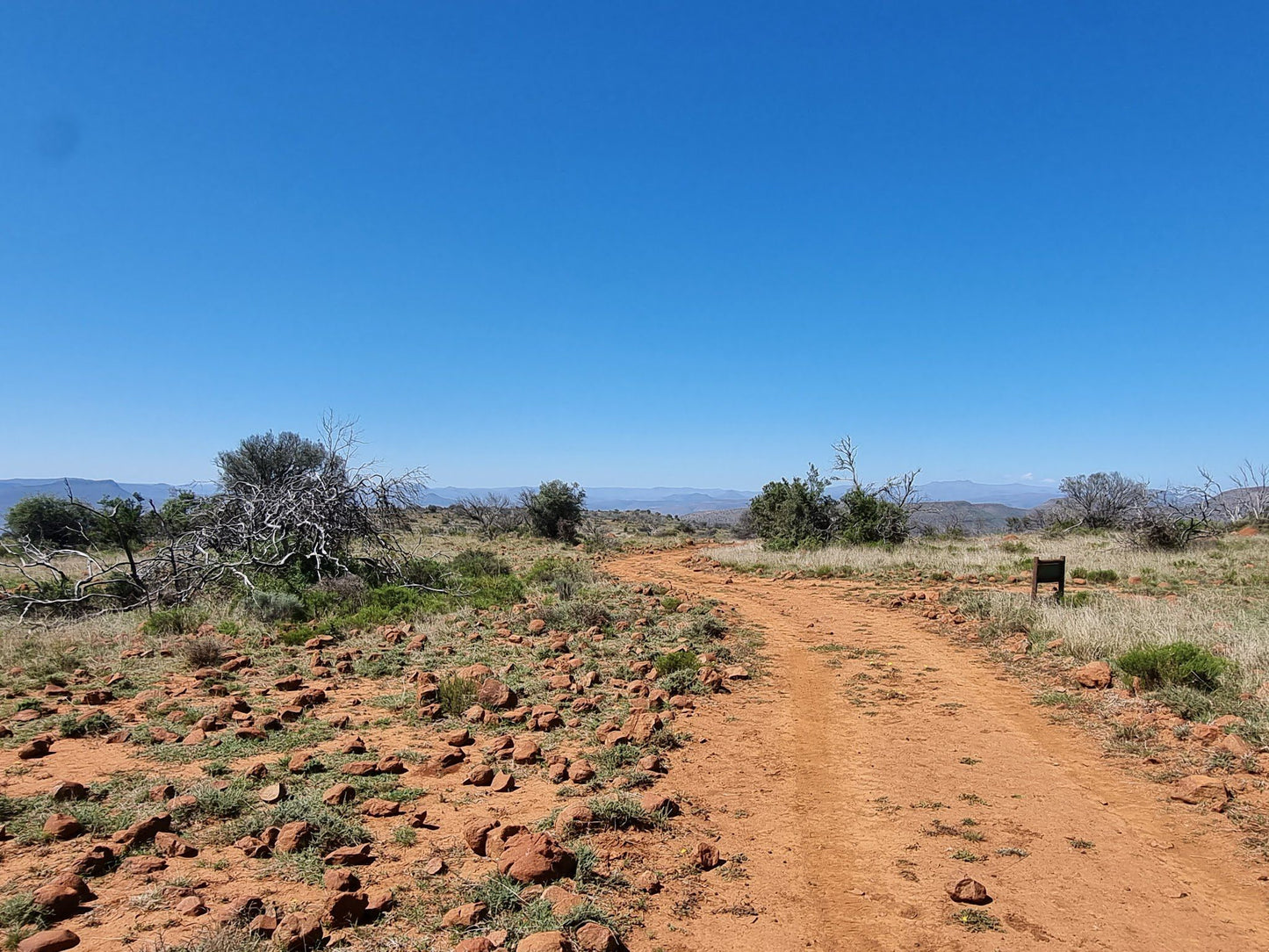  Camdeboo National Park