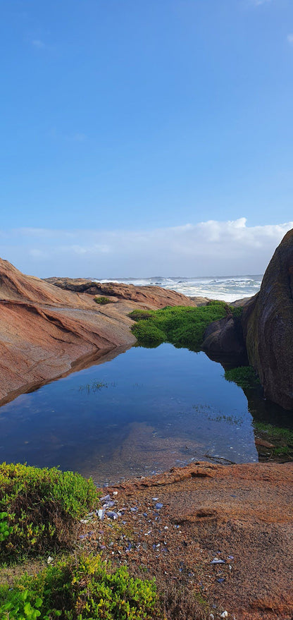  Cape Columbine Nature Reserve