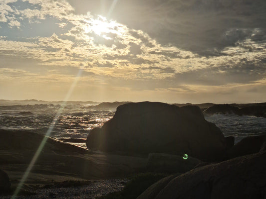  Cape Columbine Nature Reserve