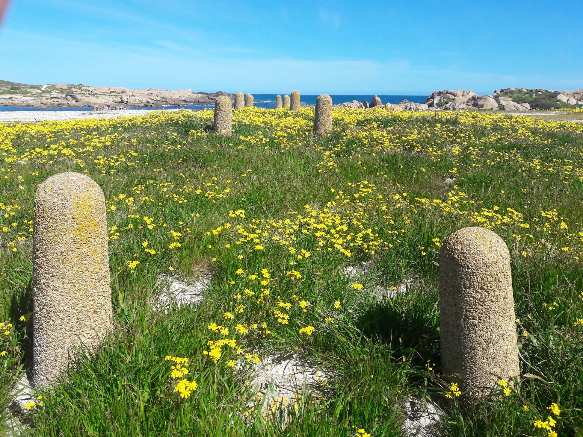  Cape Columbine Nature Reserve