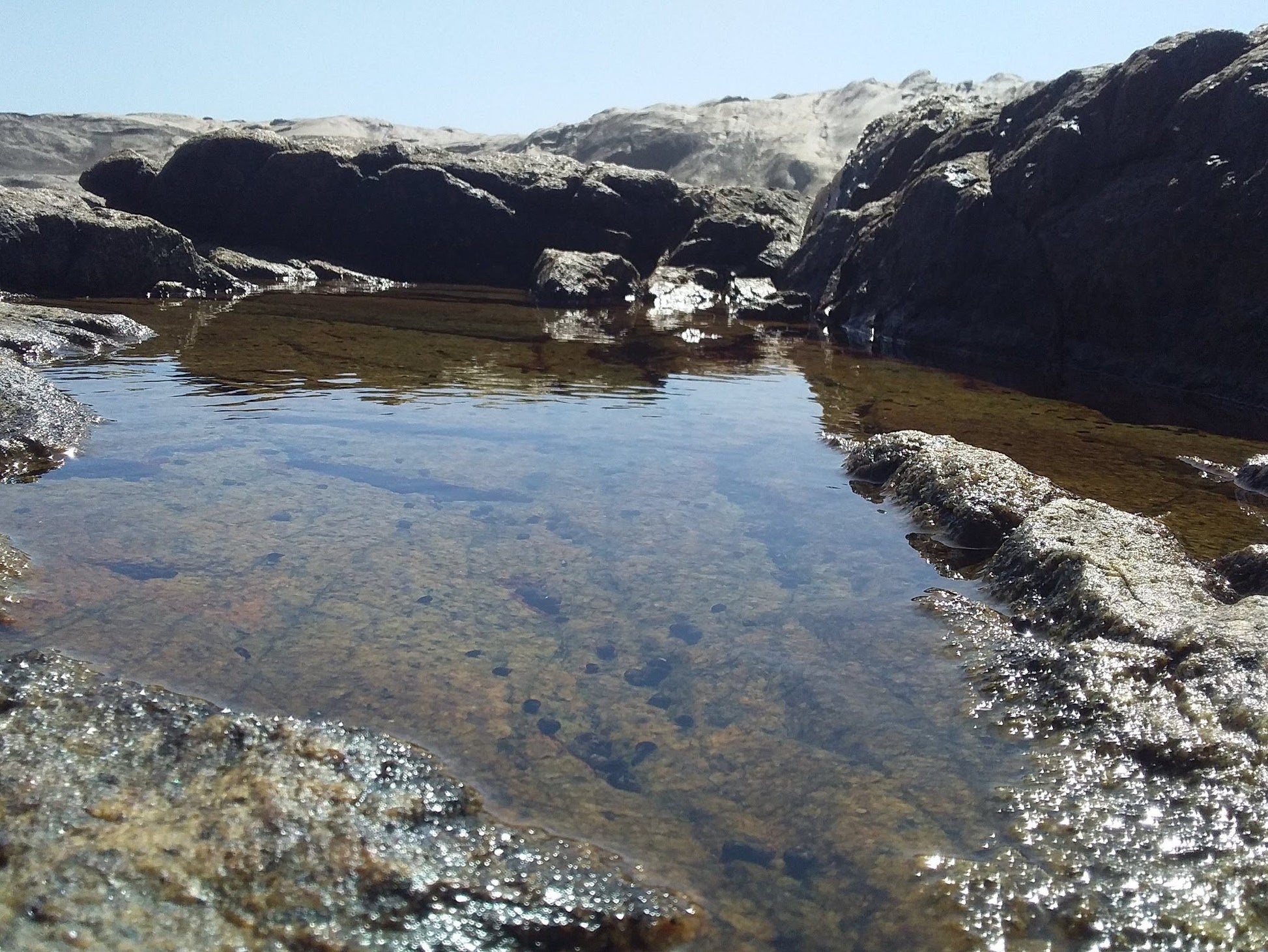  Cape Columbine Nature Reserve