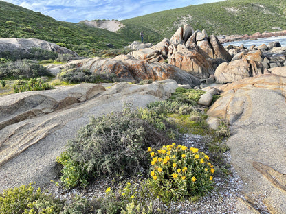  Cape Columbine Nature Reserve