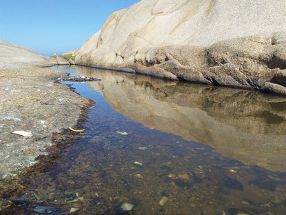  Cape Columbine Nature Reserve