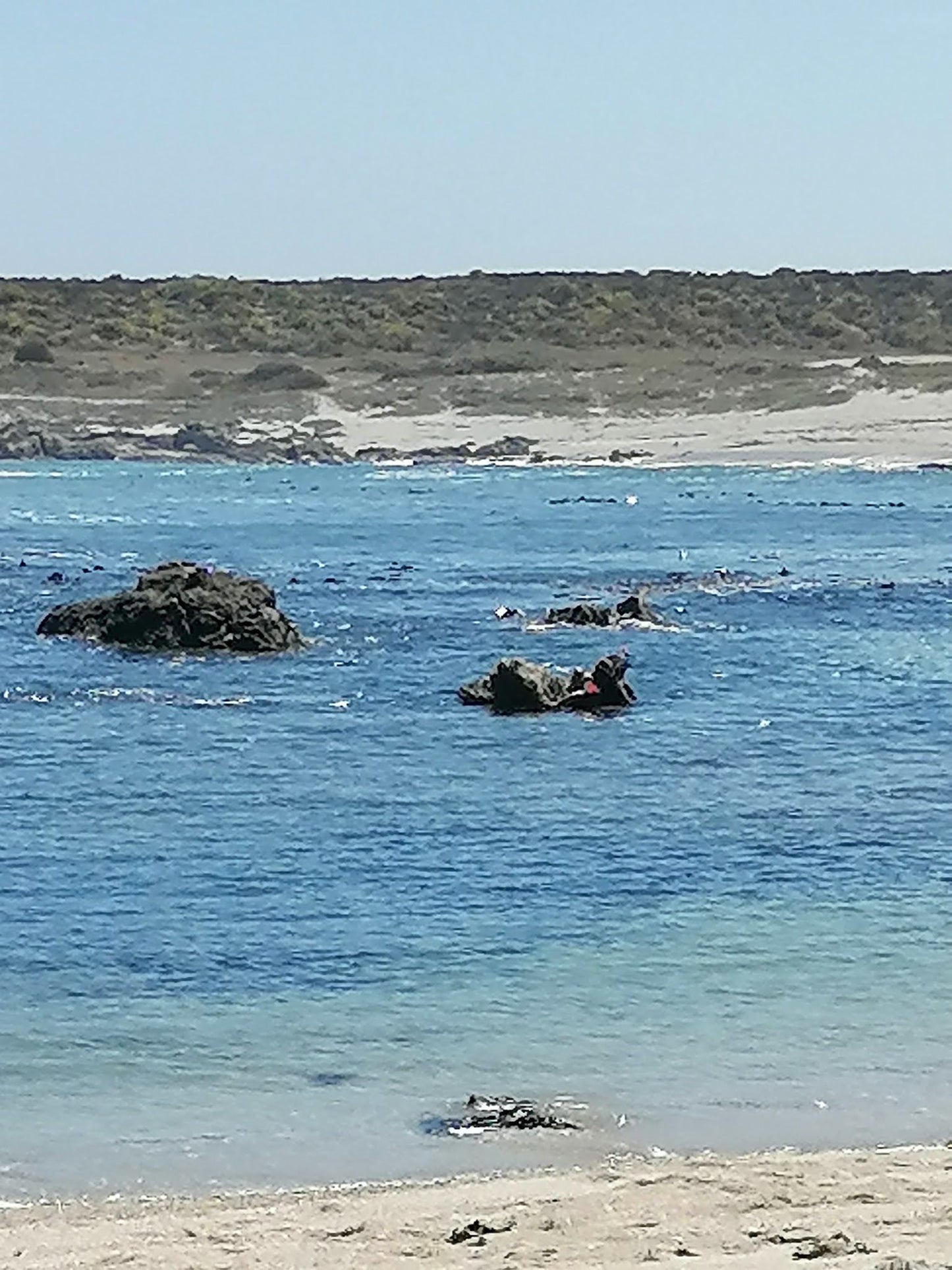  Cape Columbine Nature Reserve