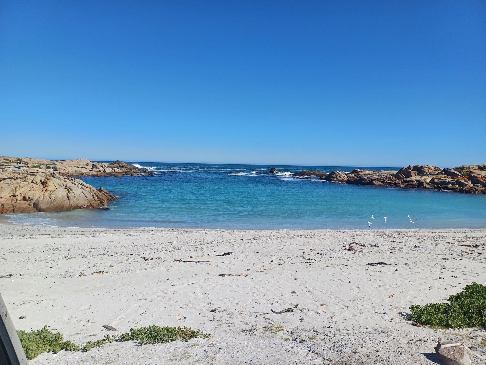  Cape Columbine Nature Reserve