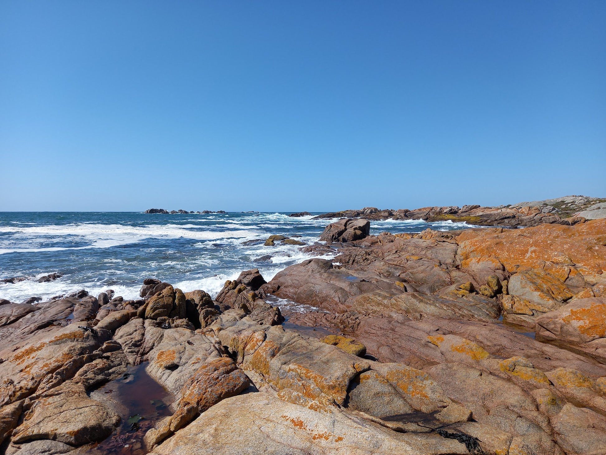  Cape Columbine Nature Reserve