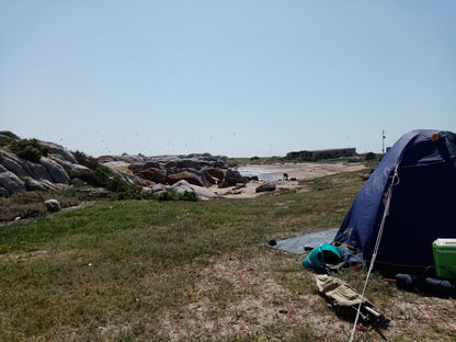  Cape Columbine Nature Reserve