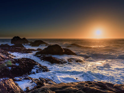  Cape Columbine Nature Reserve