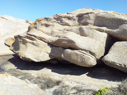  Cape Columbine Nature Reserve