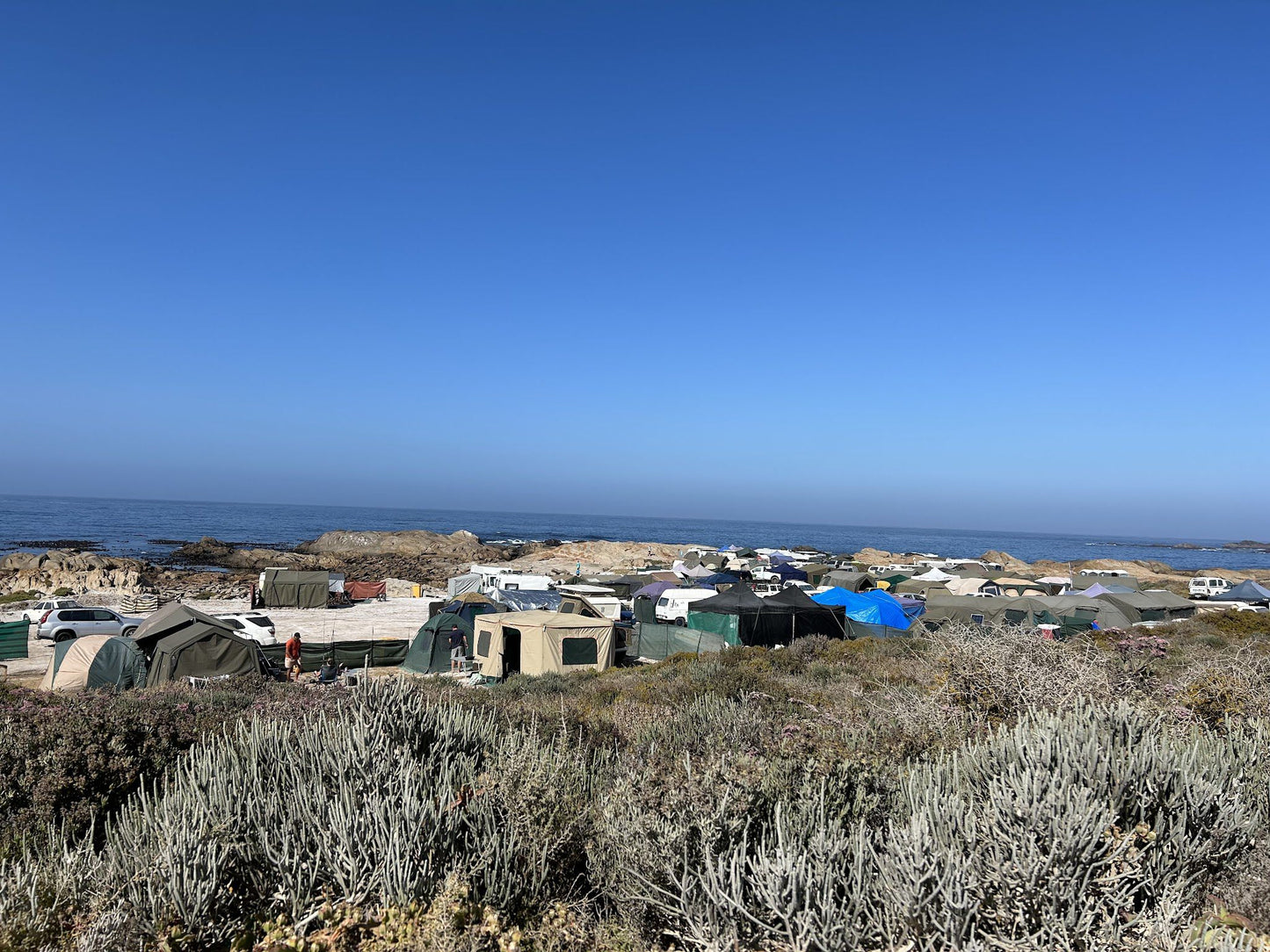  Cape Columbine Nature Reserve