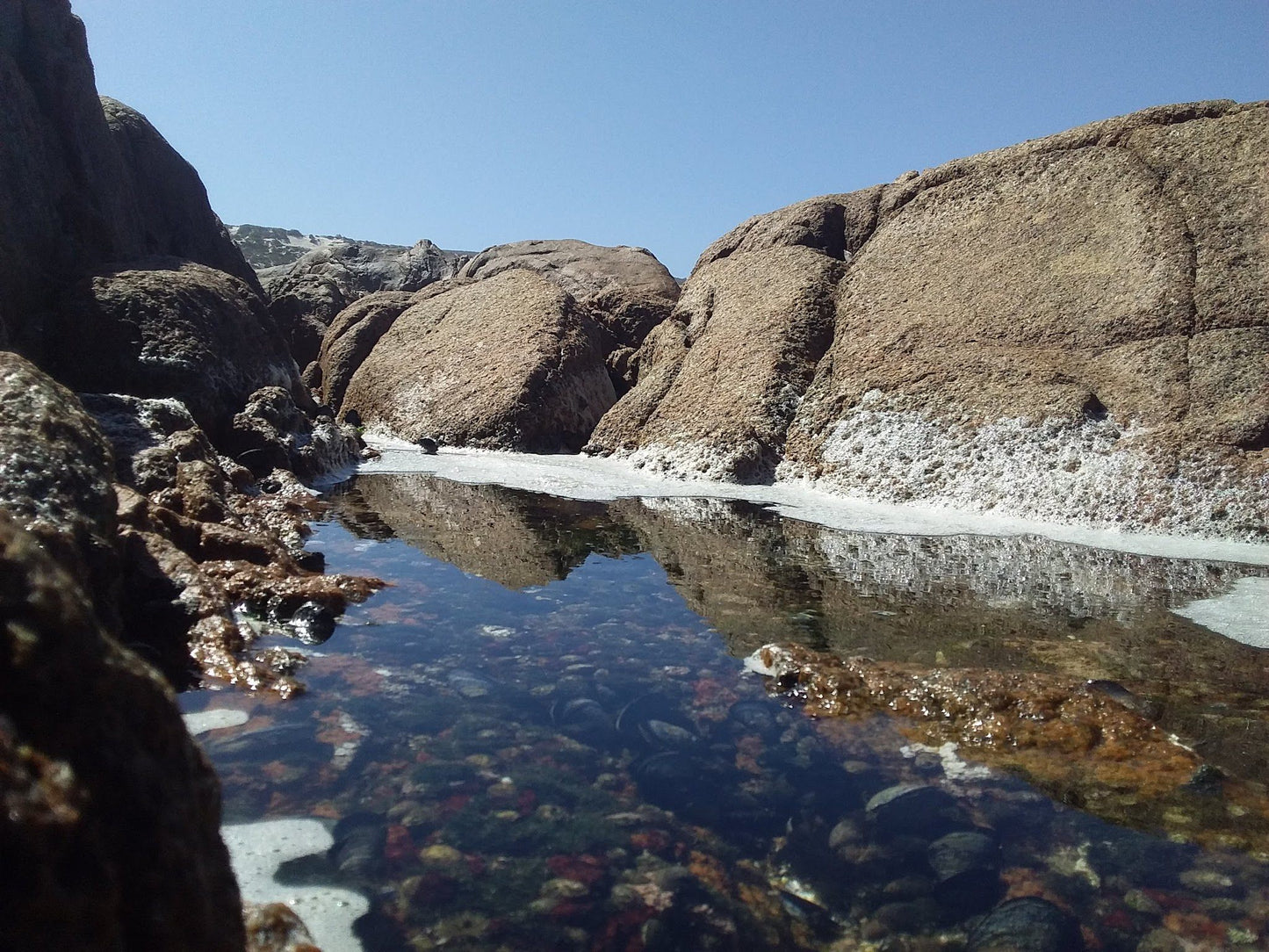  Cape Columbine Nature Reserve