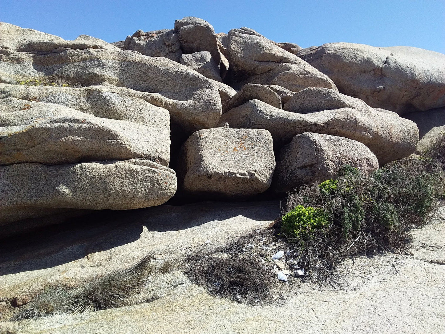  Cape Columbine Nature Reserve