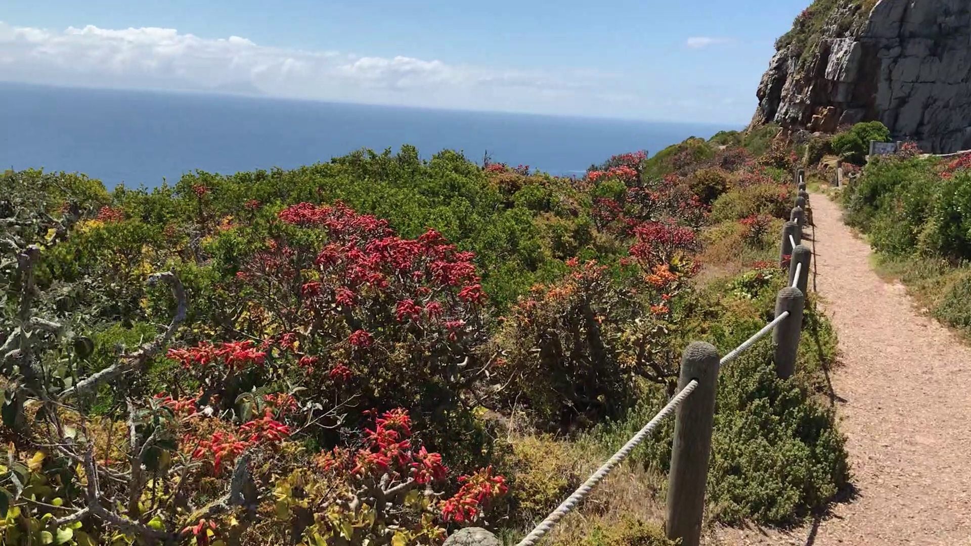  Cape Point Nature Reserve