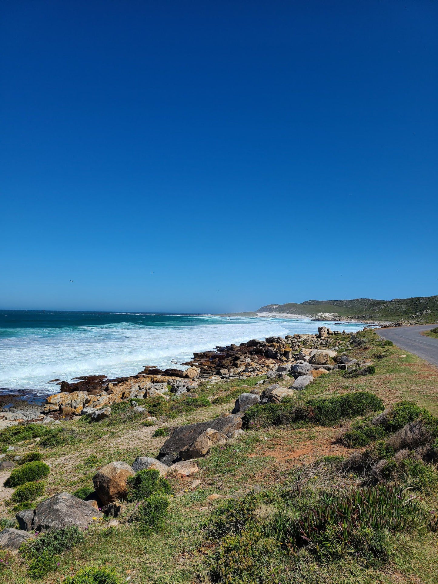  Cape Point Nature Reserve