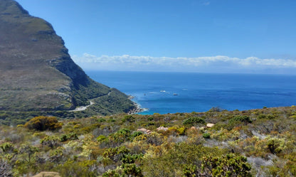  Cape Point Nature Reserve