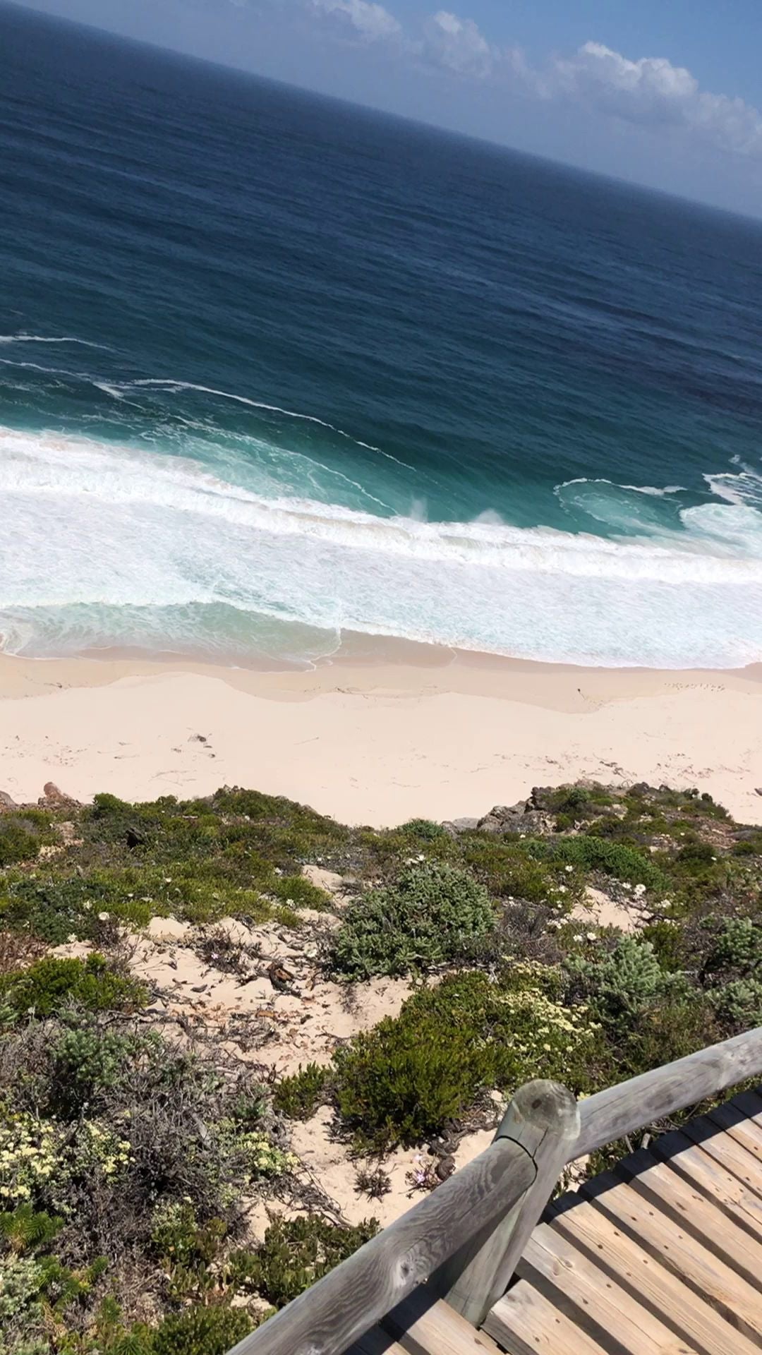  Cape Point Nature Reserve