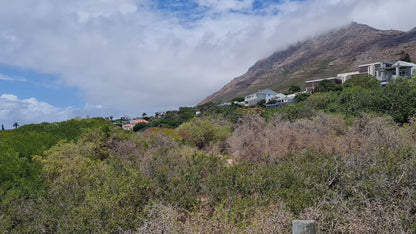  Cape Point Nature Reserve