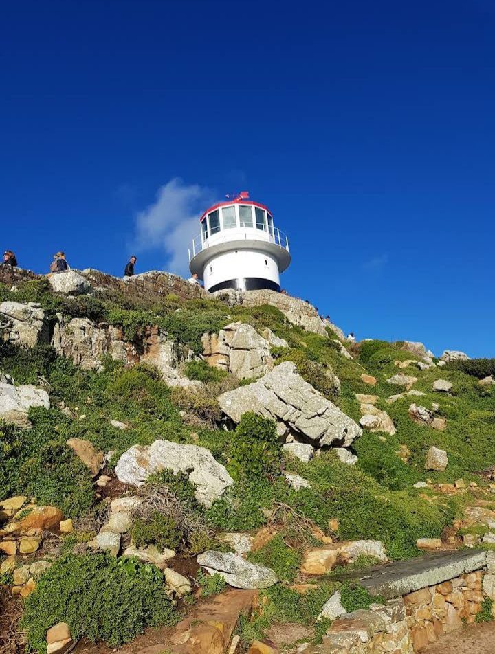  Cape Point Nature Reserve