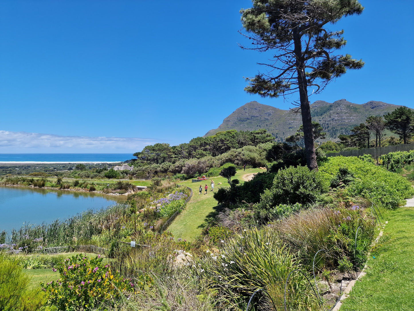  Cape Point Vineyards