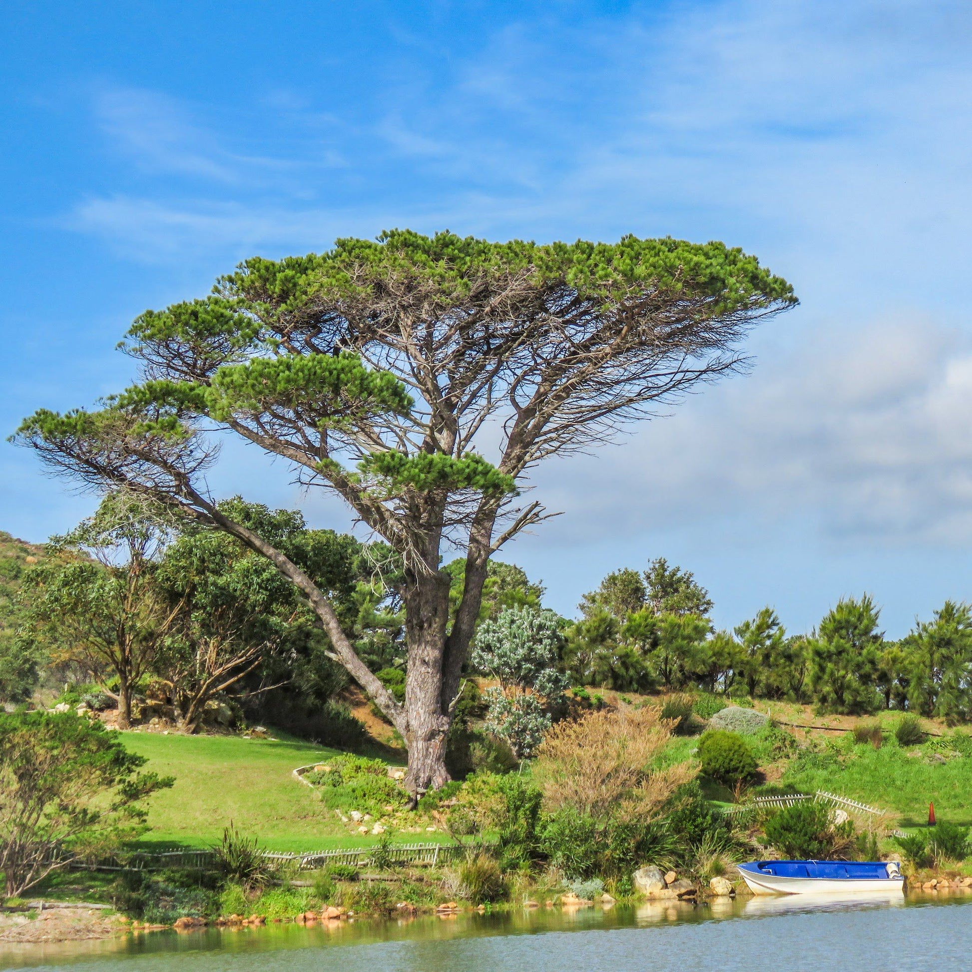  Cape Point Vineyards