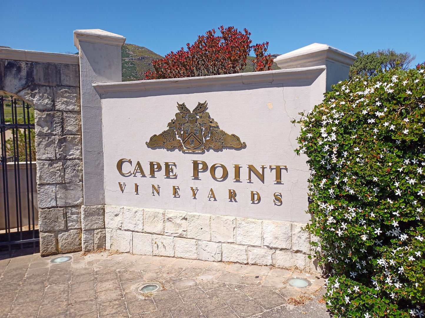  Cape Point Vineyards